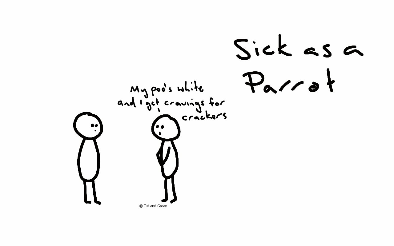 Tut and Groan Sick as a Parrot cartoon