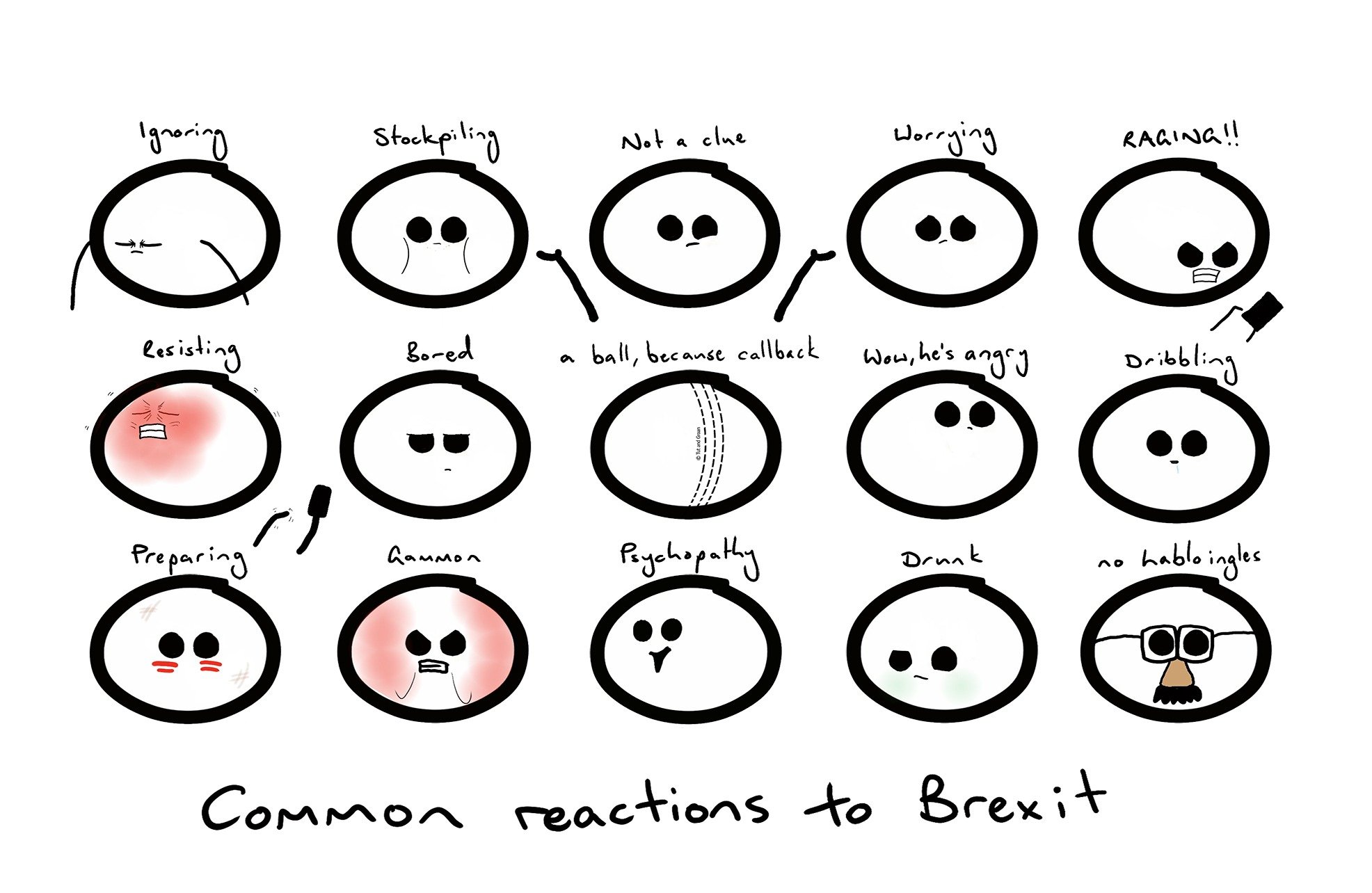 Tut and Groan Common Reactions to Brexit cartoon