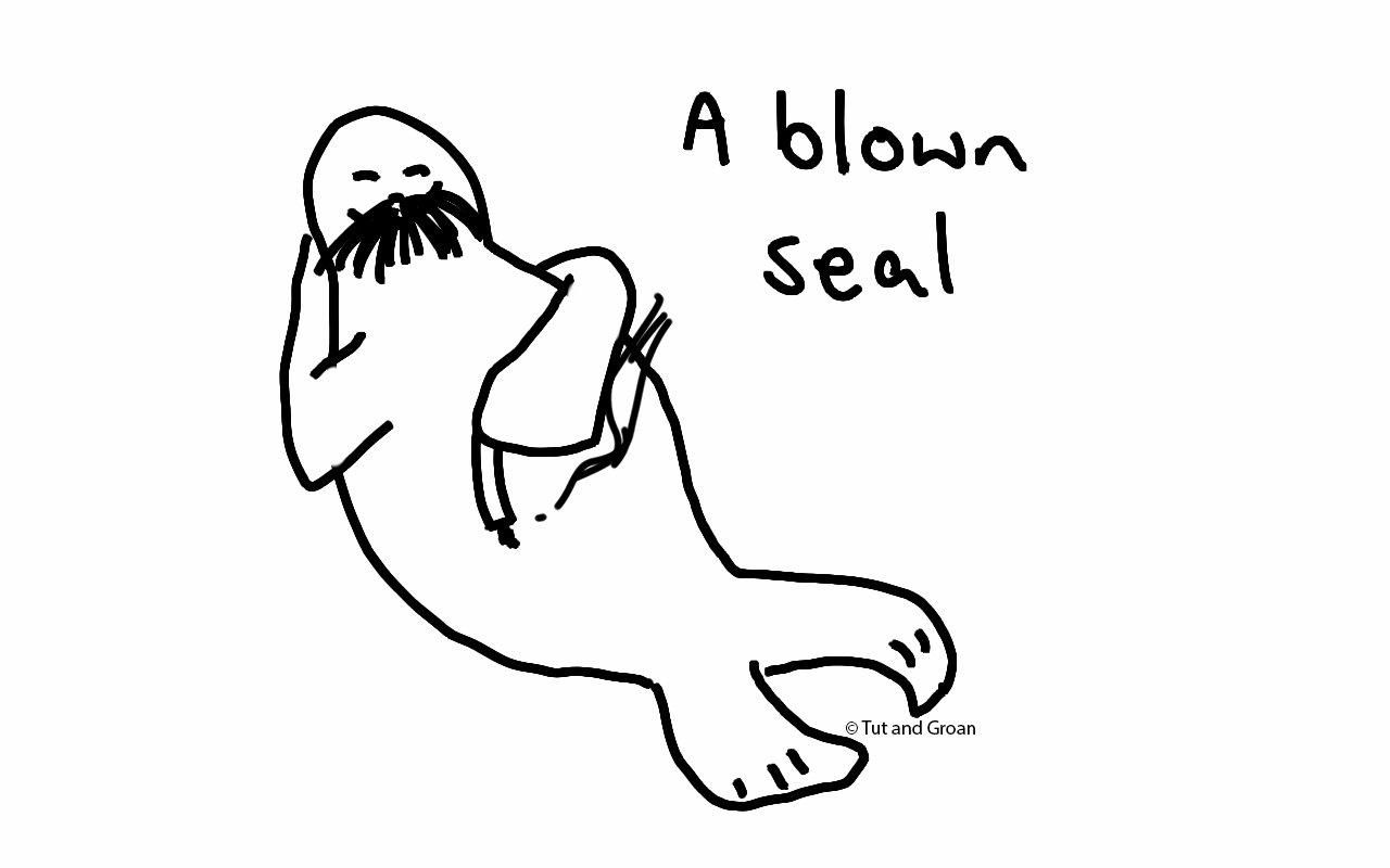 Tut and Groan A Blown Seal cartoon