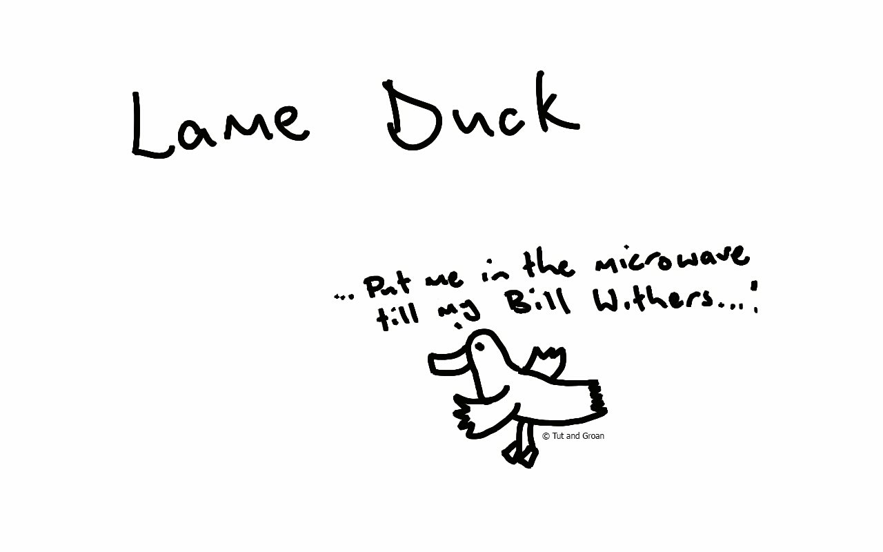 Tut and Groan Lame Duck cartoon