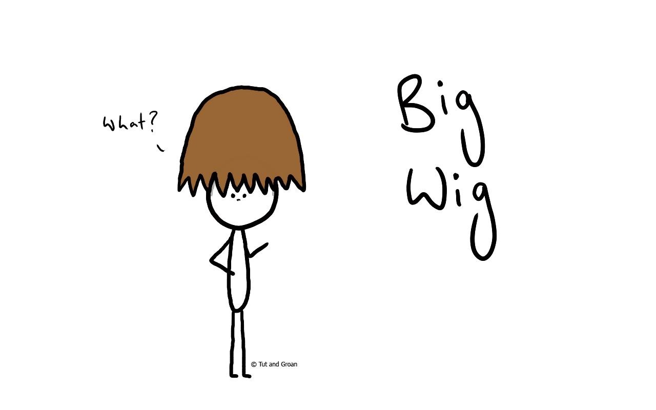 Tut and Groan Big Wig cartoon